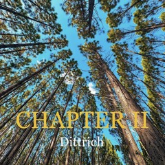 CHAPTER II - 2h Drum and Bass Set by Dittrich