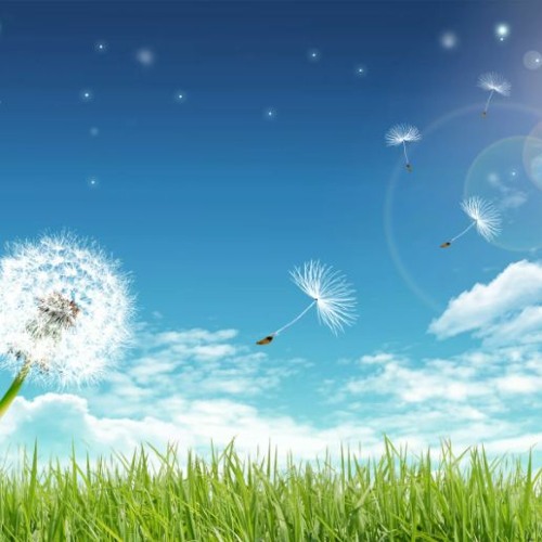 6phace background music DOWNLOAD