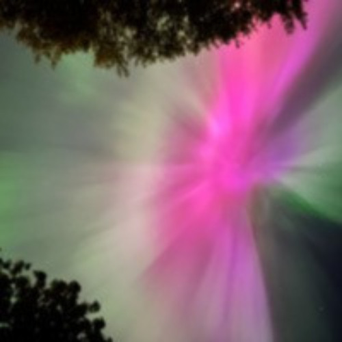 Light up the Sky