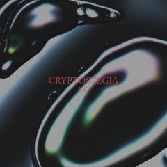 Cryptostegia - No