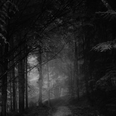 Through The Darkest Night, Lights Both Seen And Unseen