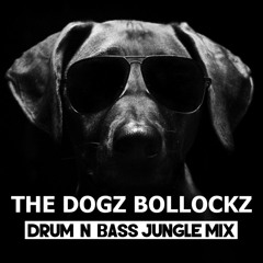 2016-10-08 - Anorak Dubson @ TDB Promotions - The Dogz Bollockz - DRUM 'N' BASS JUNGLE Mix