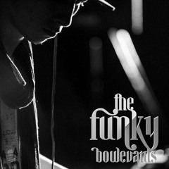 The Funky Boulevards LIVE @ Curitiba - Brazil (Vinyl Set)