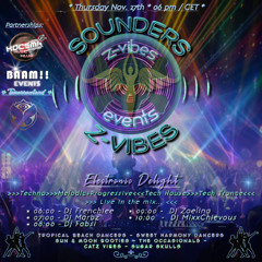 SOUNDERS Electronic Delight *Melodic Progressive Techno / House* 2025 November 27th