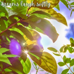 Dreams Laugh Softly - Lakkabrah