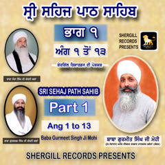 Shri Sehaj Path Sahib ( Part - 4 )
