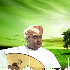 محمد البرعمي غيار