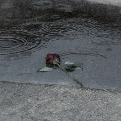 عسى لا كالها الله