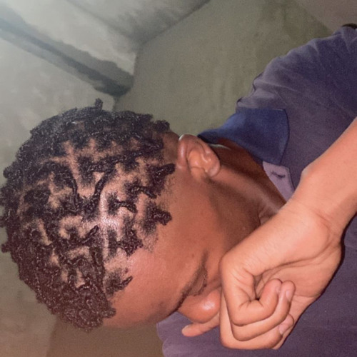 DizpramimPt1.prod lonerboy