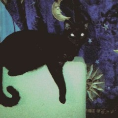 Fading Kitten Syndrome - Roar (slowed)