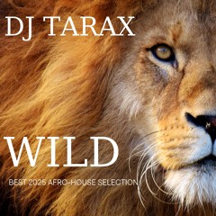 WILD - DJ TARAX
