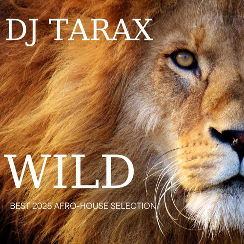 WILD - DJ TARAX