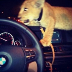 boogie - 24 (prod chromes) [MIX UP THE MAGIC EXCLUSIVE]