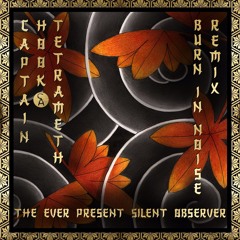 Captain Hook Vs Tetrameth - The Ever Present Silent Observer (Burn In Noise Remix)