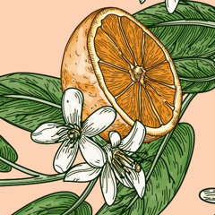 Citrus Bloom