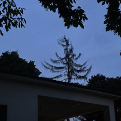 Одинокие квартиры [muzoff.net]