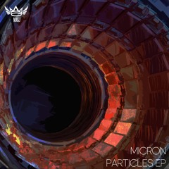 Micron - Infinity X