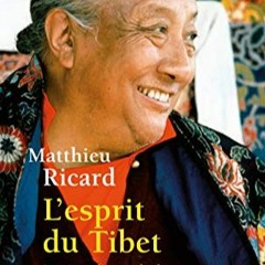 TÉLÉCHARGER L'Esprit du Tibet: La vie et le monde de Dilgo Khyentsé, maître spirituel en format