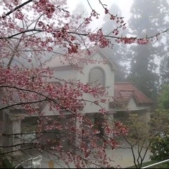 Mist (PROD BY CRYSTAL $WAG)