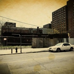 Blake Ave Sample Challenge 365