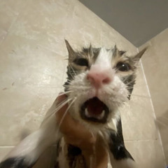 Lana Del Rey - Maha Maha.mp3