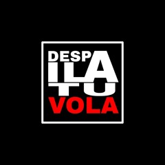 DESPAILA TU VOLA - CONTROL .mp3