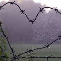 akiaura - luv TAGGED