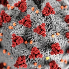 Coronavirus Boom Trap Beat