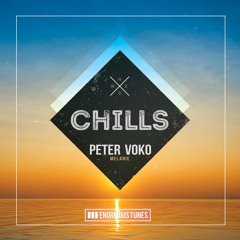 Peter Voko- The Shelter