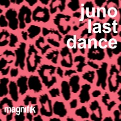 Last Dance Promo Mix