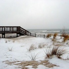 In Winter