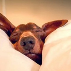 Weigh - Cup Sleep