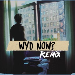 Sadie Jean - wyd now? (Remix) By Kev Nichols