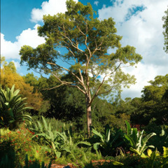 daysl33per ~ lite (2022)