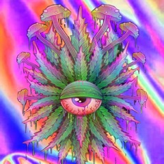 Skamma - spitfire (JDZ Media)