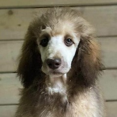 Mørke Sjel - Fell Down - ft. BKMY