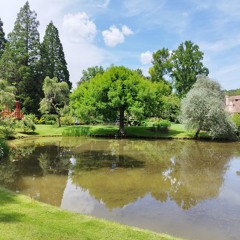 mix SURPRISE hardcore 22 09 19