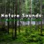 Artwork for Organic Rain Sound