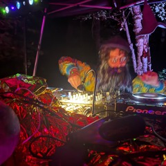 Psy-Wizard @ Mystic Forest 2025 (Mondhain)