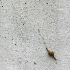 Go slow