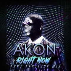 Akon - Right Now (na Na Na) - F3bz Festival Mix
