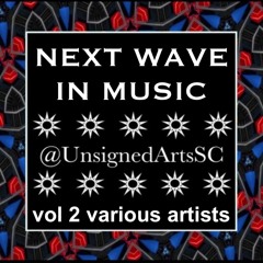 THE NEXT WAVE IN MUSIC vol 2 various artists