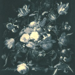 C/1995 O1