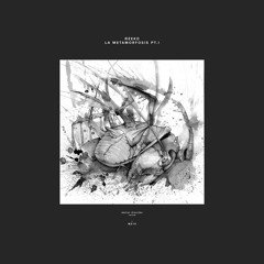 La Metamorfosis (Original Mix)