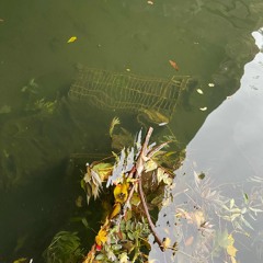 Elvin Key @ Reclaim Your Mind 15.11.25