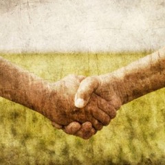 Make You Feel My Love