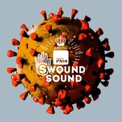FM4 Swound Sound #1239