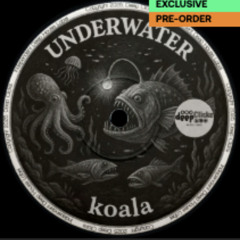 Koala - Underwater (Johnny Deep Remix)