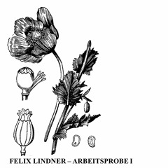 Felix Lindner - Arbeitsprobe I