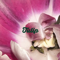 Turip by ipad